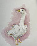 Watercolor Print- Fluffy Goose (Sebastopol)
