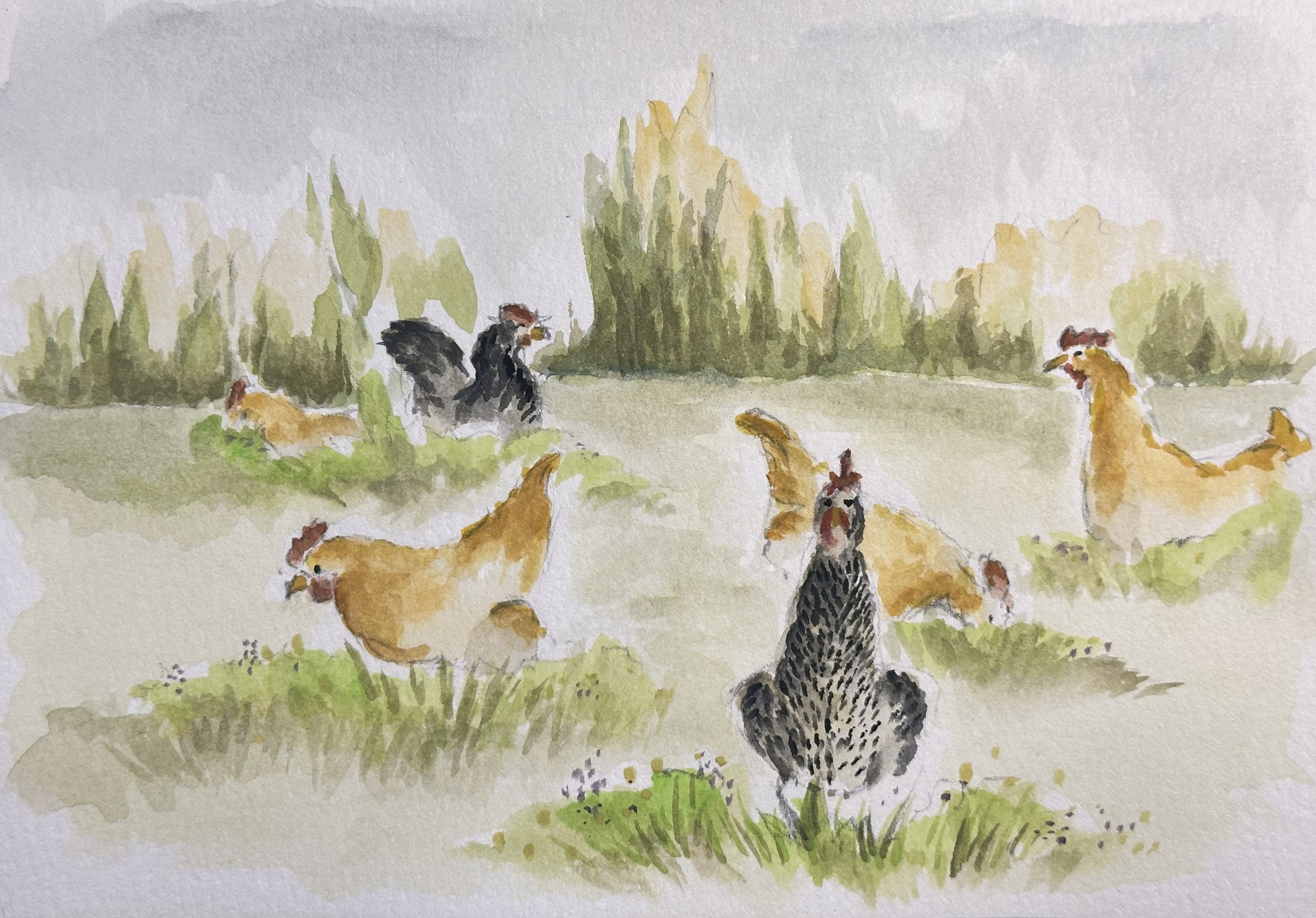 Watercolor Print- Chickens