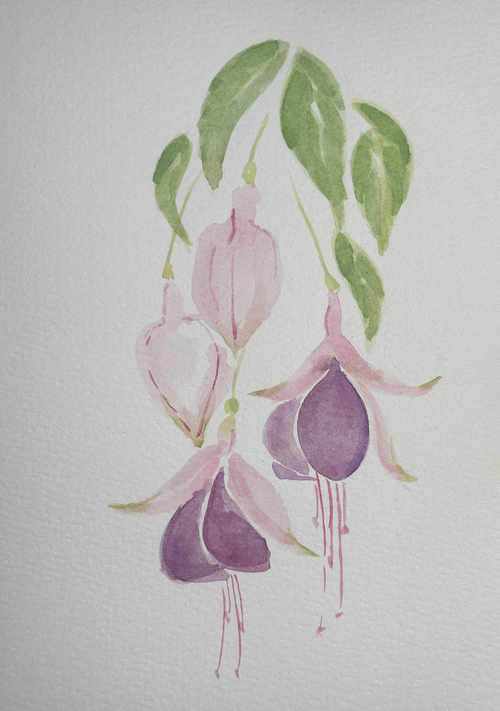 Watercolor Print- Fuschia 1