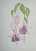 Watercolor Print- Fuschia 1