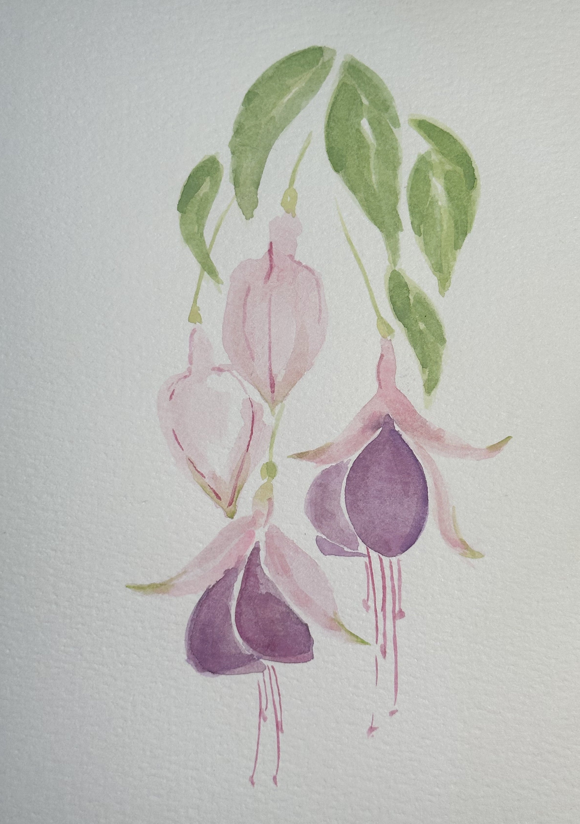 Watercolor Print- Fuschia 1