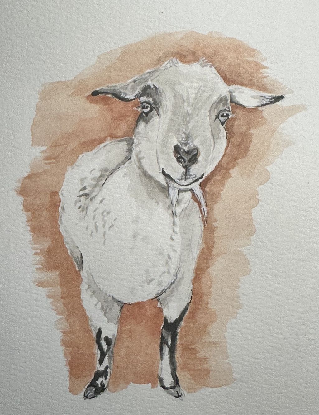 Watercolor Print- Dobby the Goat