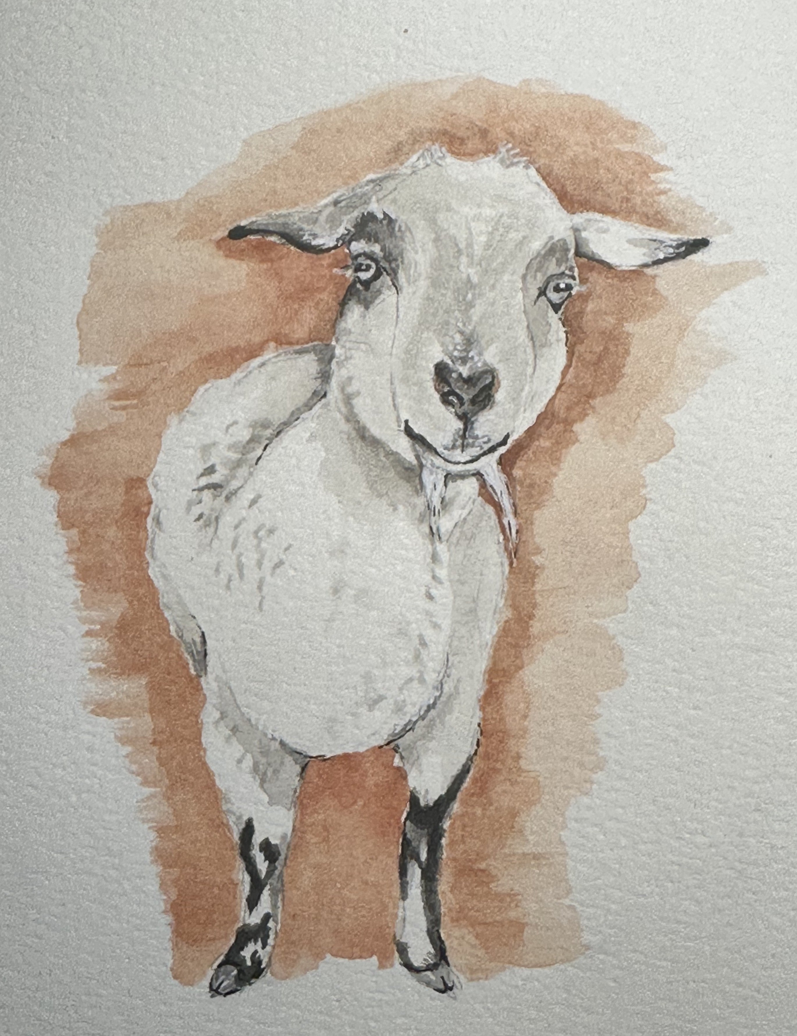 Watercolor Print- Dobby the Goat