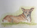 Watercolor Print- Stay
