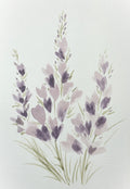 Watercolor Print- Lavender 2
