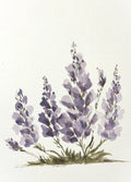 Watercolor Print- Lavender 1