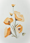 Watercolor Print- California Poppy