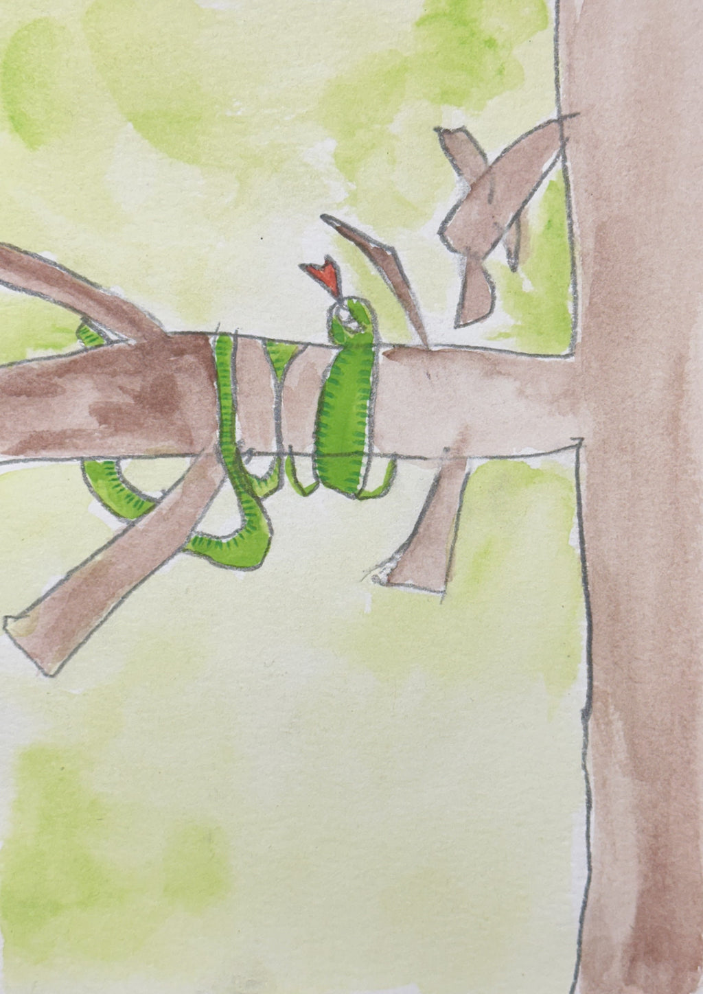 Watercolor Print- Coiled
